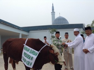 AGUNG SERAHKAN HEWAN QURBAN PRESIDEN UNTUK MASJID DOMPAK