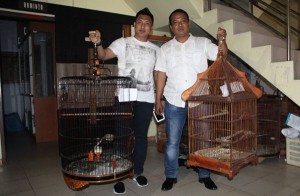 Remaja Ini Nekat Maling 20 Ekor Burung Curian