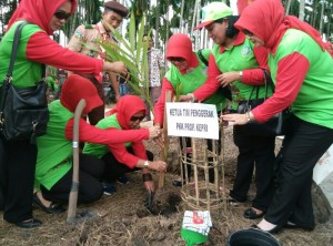 TP PKK Prov KEPRI Tanam Bibit Pohon di Kegiatan HATINYA