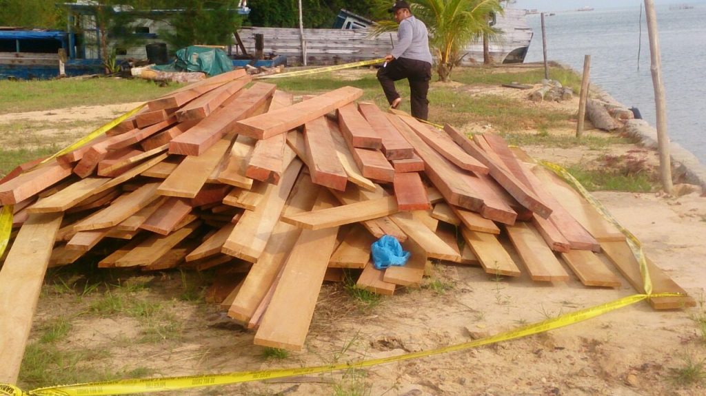 Babinsa 06 Senayang berhasil mengamankan tujuh pelaku pembalakan Hutan