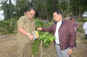 HKTI Kembangkan Perkebunan Buah Lokal di Lingga