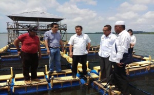 Komisi II DPRD Kepri Kunker ke Keramba Penaga