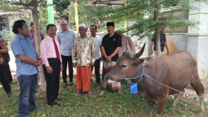 Ketua DPRD Kepri berikan bantuan Hewan Kurban