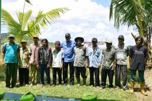 Bupati Natuna Panen Padi Lokal di Desa Gunung Putri