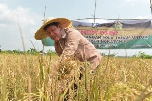 Isdianto Percaya Pertanian Kepri Semakin Berjaya