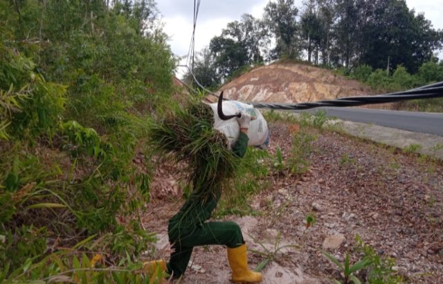 Menerobos Kabel Jaringan Listrik