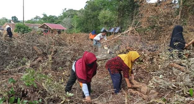 Bangkit di Tengah Pandemi Covid-19