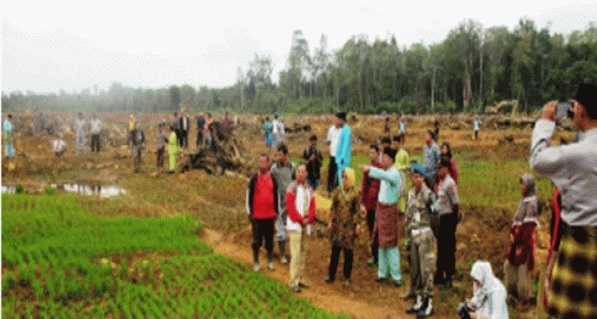 Program Swasembada Beras di Natuna Terus Digenjot