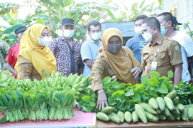 Walikota Tanjungpinang Serahkan Bantuan Sarana Pertanian dan Bibit Tanaman