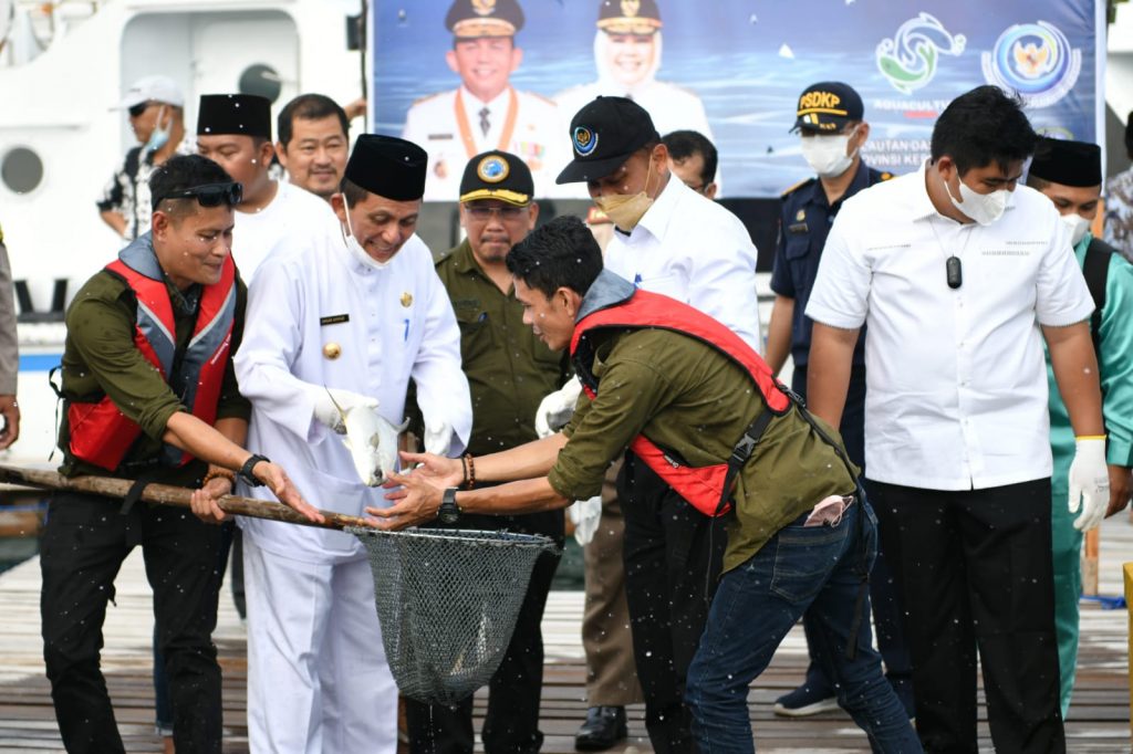 Gubernur Ansar Panen Ikan di Pangkil