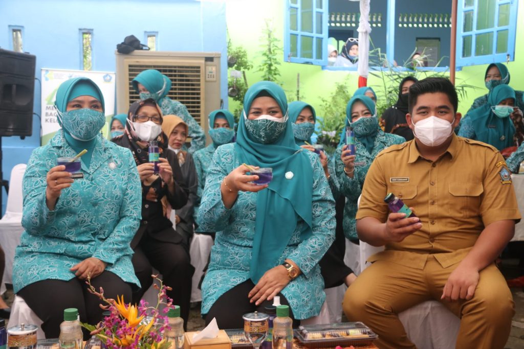 Istri Mendagri Tito Karnavian Puji Posyandu Mawar Kabupaten Bintan Terbaik Se Indonesia