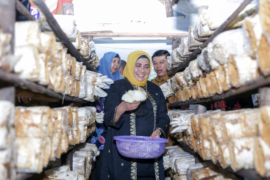 Rahma Sebut Budidaya Jamur Peluang Usaha yang Menjanjikan Saat Ini