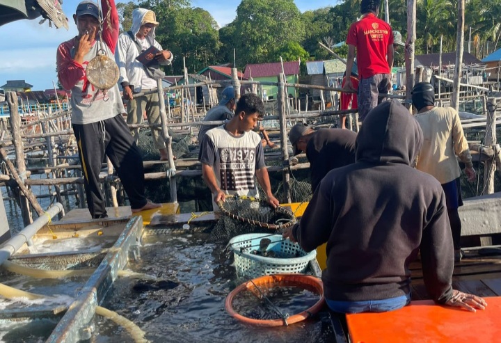 Desa Persiapan Bendahara Kabupaten Lingga Bangun Keunggulan Komoditas Mandiri