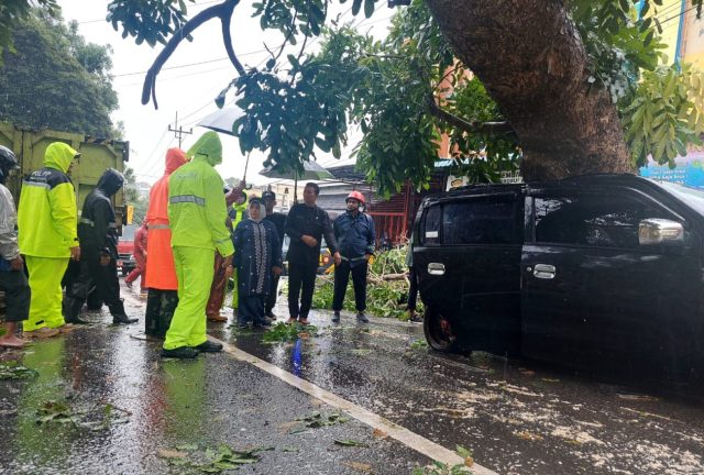 Dua Mobil Tertimpa Pohon di Jalan Engku Putri, Rahma Langsung ke Lokasi Kejadian