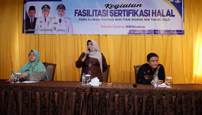 Genjot Perekonomian, Melalui Disdagin Pemko Tanjungpinang Fasilitasi IKM Miliki Sertifikat Halal