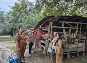 Jelang Idul Adha, Pemkab Asahan Lakukan Pemeriksaan Hewan Qurban
