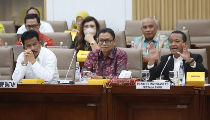 Update Progress Investasi Rempang, Kepala BP Batam Hadiri RDP Komisi VI DPR RI