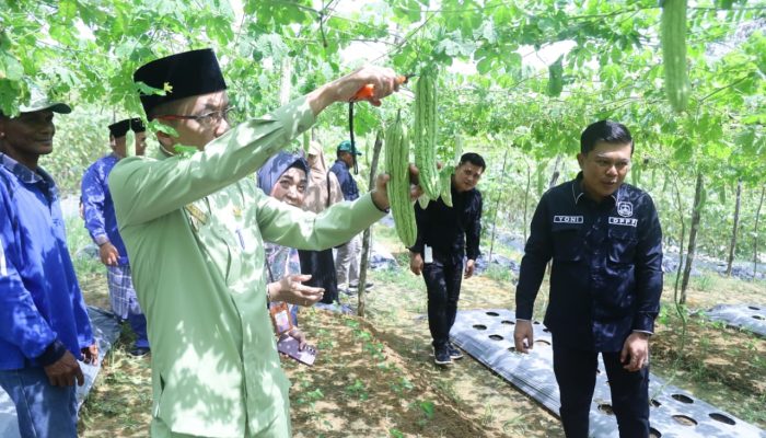 Ingin Tahu Kendala di Lapangan, Hasan Lansung Kunjungi Sejumlah Lokasi Kelompok Tani