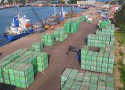 Pengelolaan Pelabuhan di Batam Dijalankan Dengan Profesional