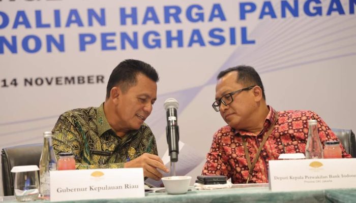 Pemprov Kepri dan DKI Jakarta Kolaborasi Pengendalian Harga Pangan