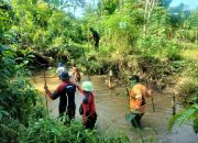 Operasi Pencarian Anak Hilang di Tanjungpinang Ditutup, Basarnas: Selanjutnya Pemantauan