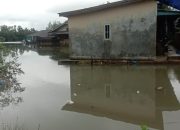 BPBD Tanjungpinang Imbau Warga Waspada Banjir Rob