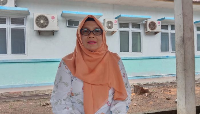 Diusung Kembali di Pilbup Bintan, Golkar Sebut Pendampingnya Tergantung Roby