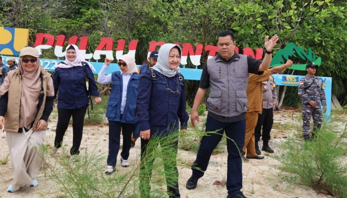 Deputi BNPP RI dan Sekda Bintan Pantau Eksisting PTR Pulau Terluar di Bintan