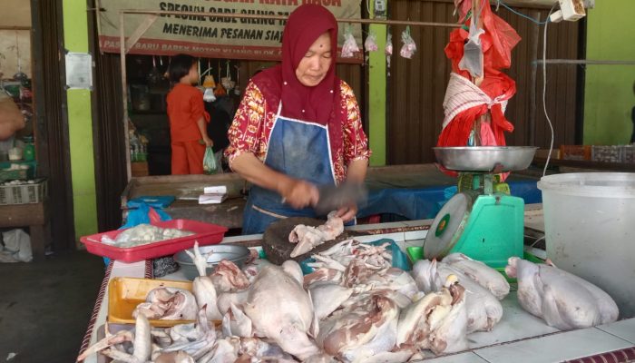 Stok Ayam Potong Segar Habis, Pembeli Beralih ke Ayam Beku