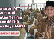 Baru di Era Roby Kurniawan, Honorer PTT dan THL Bintan Terima Insentif THR