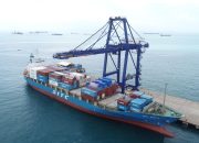 Triwulan I 2024, Volume Peti Kemas Terminal Batu Ampar Meningkat 10%