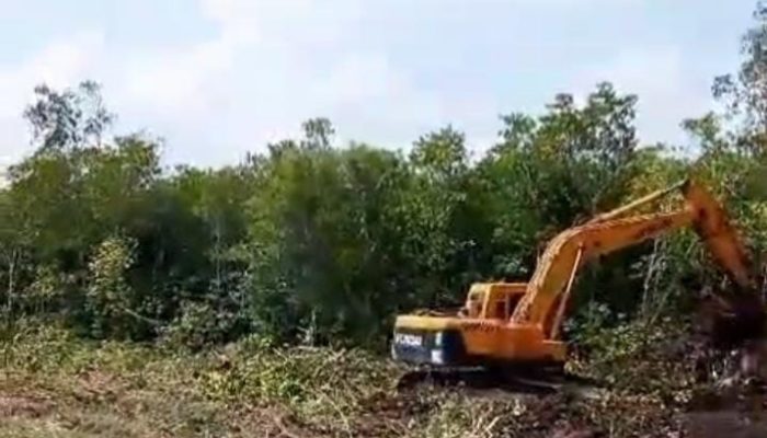 Penyelidikan Tambak Udang di Desa Pengujan Berlanjut