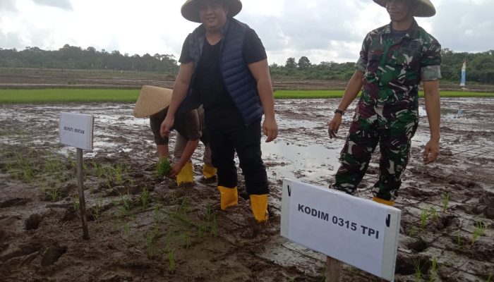 Dukung Program Khusus Penanaman Padi, Roby Tak Ingin Buka Lahan Tapi Gagal