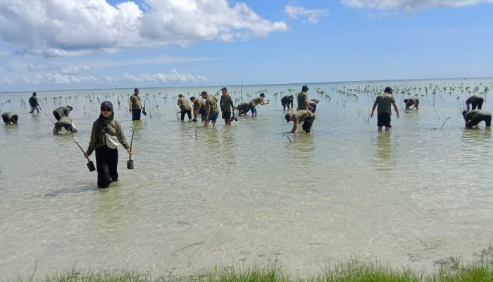 PLN Tanjungpinang dan DLH Kepri Tanam 1.000 Mangrove di Bintan