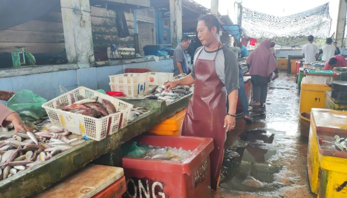 Harga Ikan di Pasar Barek Motor Diduga Ditentukan Tauke