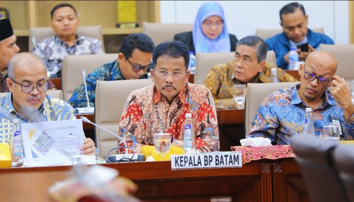 Kepala BP Batam Paparkan Kinerja Anggaran dalam RDP bersama Komisi VI DPR RI