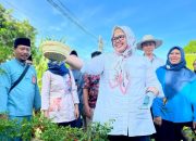 Marlin Agustina Optimis Ekonomi Batam Tumbuh Signifikan