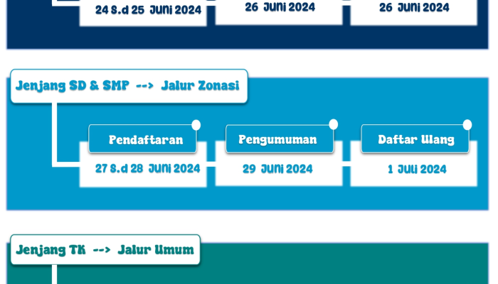 Disdik Tanjungpinang Resmi Buka Pendaftaran PPDB 2024