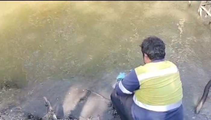 KLHK Ambil Sampel Air Sungai di Desa Pengujan Karena Diduga Sudah Tercemar
