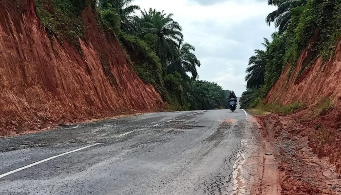 Dinas PUPR Bintan Benahi Jalan Lintas Timur yang Rusak