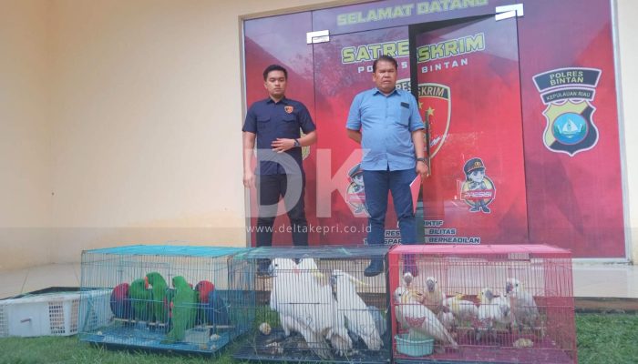 Hendak Selundupkan Puluhan Burung ke Malaysia, Kini Pelaku Terancam 15 Tahun Penjara