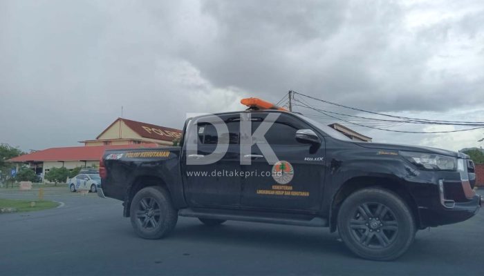 Puluhan Burung yang jadi Korban Penyelundupan Kini Dibawa ke Kantor BKSDA Batam