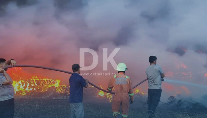 Kebakaran di PT Panglong Kijang, 4 Orang Diperiksa Polisi