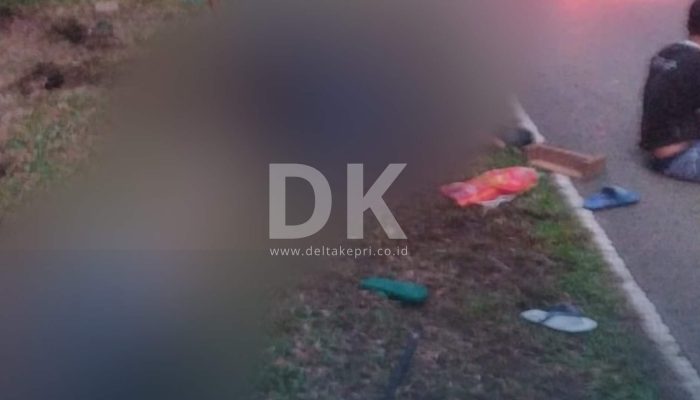 Dua Pekerja di Kawasan Lagoi Tewas saat Mobil Pick Up yang Ditumpangi Tergelincir