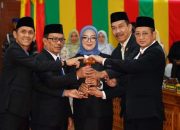 Maya Sari Resmi Jadi Perempuan Pertama yang Jabat Ketua DPRD Lingga