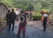 BPBD Ungkap 12 Titik Pohon Tumbang Akibat Hujan Disertai Angin Kencang