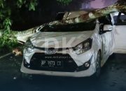 Mobil Toyota Agya Tertimpa Pohon Saat Angin Kencang Landa Tanjungpinang