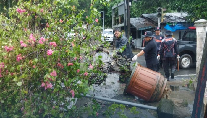 Pot Bunga di Jalan Tugu Pahlawan Tumbang Akibat Hujan Disertai Angin Kencang