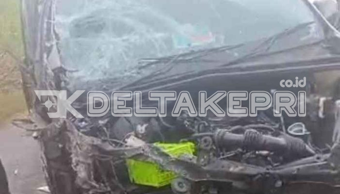 Truk Pengangkut Kelapa Sawit Diduga Tabrak Mobil Avanza di Jalan Galang Batang