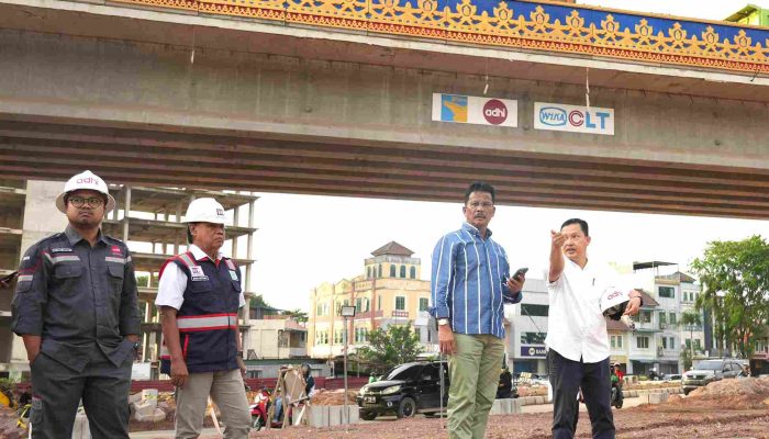 Kepala BP Batam Tinjau Pekerjaan Akhir Proyek Flyover Sei Ladi